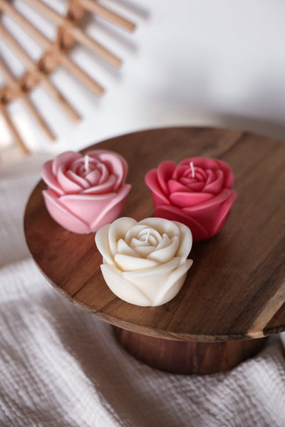 Rosenblüte