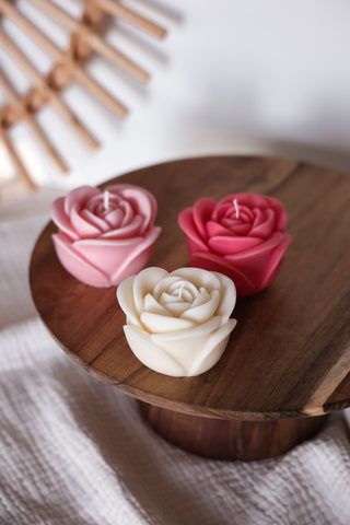 Rosenblüte