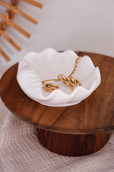 Offene Muschelschale