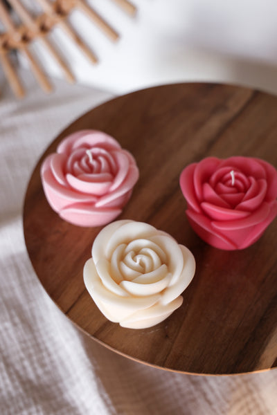 Rosenblüte