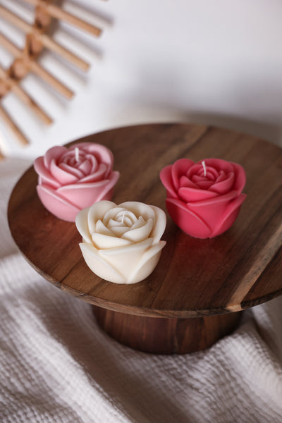 Rosenblüte