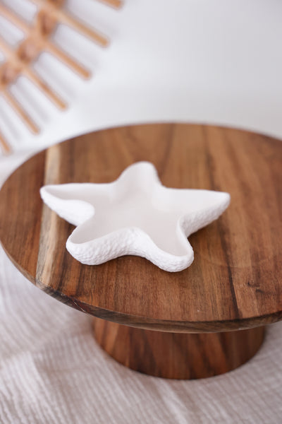 Seestern Muschelschale